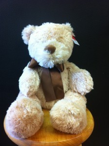 CUDDLE BUDDY Plush Teddy Bear in Springfield, MO | BLOSSOMS