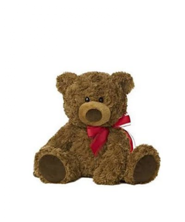 Cuddly Bear Plush