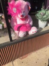 Cuddly Pink Bear 