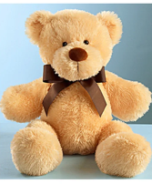 Cuddly Plush Bear Stuffed Animal