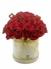 Amor y Romance Arreglo de valentin