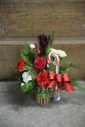 Cup of Christmas Candy Cane Coffee Mug Arrangement