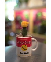 Cactus Soup Get Well Gift 