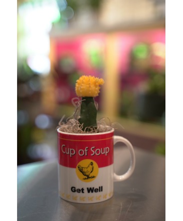 Cactus Soup Get Well Gift  in South Milwaukee, WI | PARKWAY FLORAL INC.