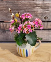 Cup of Spring Planter