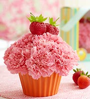 Cupcake