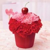 Cupcake for your Cupcake All Around