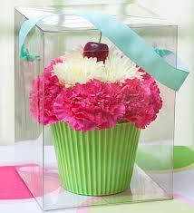Cupcake in Bloom 