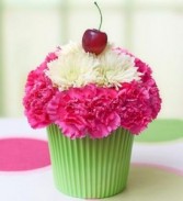 Cupcake in Bloom Arrangement 