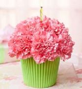 Cupcake in Bloom For Mom Carnations delivered in a cake box