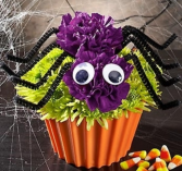 Cupcake in Bloom® - Spider Arrangement