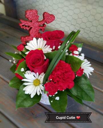 Cupid Cutie Valentine's Day