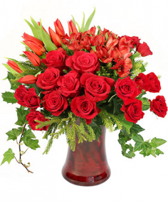 Category Image