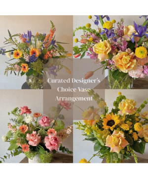 Curated Designer's Choice  
