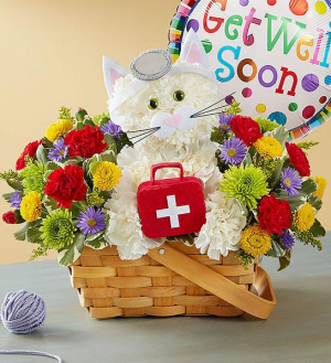 Cure All Kitty 167683 in Beaufort, SC | Smiling Petals Flower Shop Cure All Kitty 167683 in Beaufort, SC | Smiling Petals Flower Shop
