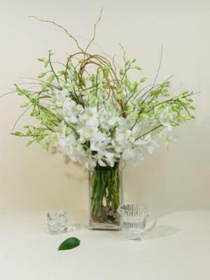 Curly Dendro Vase Arrangment