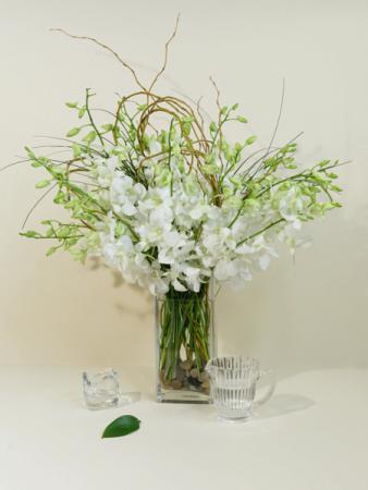 Curly Dendro Vase Arrangement in Quincy, MA | Quincy Flowers