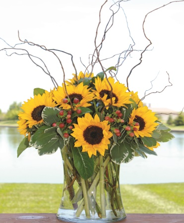 Stunning Sunflowers 