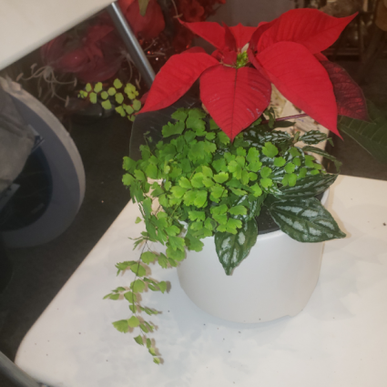 Custom Christmas ceramic planter