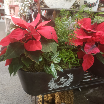 Custom Christmas planter Custom Christmas planter