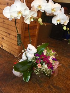 custom combo orchids /flowers /stuffed animal