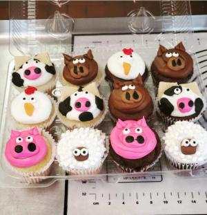 Custom decorated cupcakes  Cupcakes 