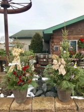 Custom Decorative Patio Pots Mixed evergreens in plastic container