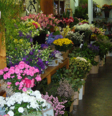 DESIGNER'S CHOICE ARRANGEMENT Vase/Container Arrangement