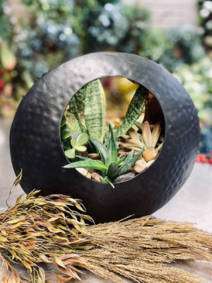 Custom Design Succulent Planter in Shoreview, MN | HUMMINGBIRD FLORAL Custom Design Succulent Planter in Shoreview, MN | HUMMINGBIRD FLORAL