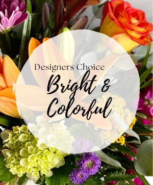 Designers Choice -  Bright & Colorful Custom 