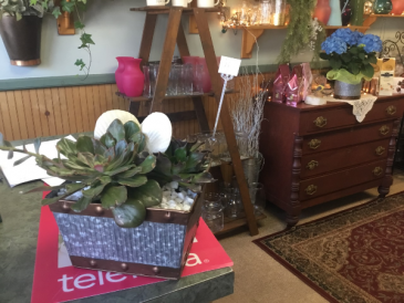custom succulent garden tin container
