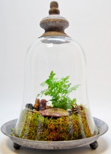 CUSTOM TERRARIUM Plant in glass container with decorations. Numerous options available.