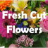 Cut Flower Bouquet 