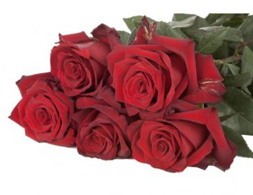 Valentine's Day *custom ordering ends saturday 2/4 After,  -ORDER  *Desiginer's choice   Arrangements OR  *Rose Bouquet and Vase .... until Saturday February 11th  —This is for website,phone and in-person ordering. ----------------------We have Top grade,Premium Ecuadorian Roses --------- Red Rose variety, -Explorer  in Clifton, NJ | Days Gone By Florist