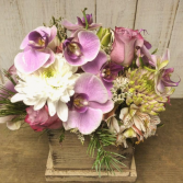Cut Orchids in Wood 