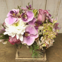 Cut Orchids in Wood 