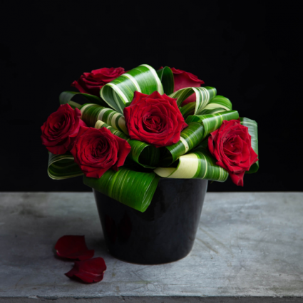 Cute as a button Roses