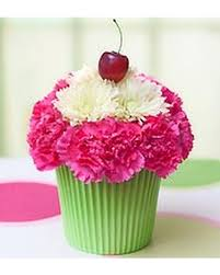 Cute as a Cupcake