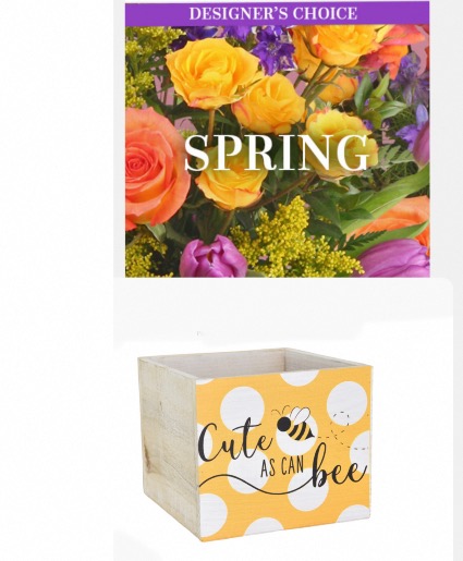 Cute as can bee Designers choice