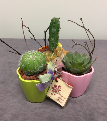 Cute Cactus Cup Artificial Succulents