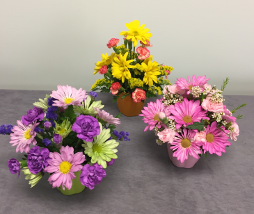 Cute Cup of Flowers Fresh Arrangement