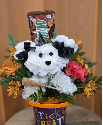 Cute Puppy Witch Carnation Puppy