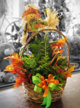 Cute scarecrow Dish Garden
