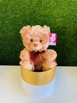 Cute Teddy Bear in a nice Box 