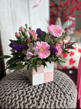 Cutie Checkered Cube 