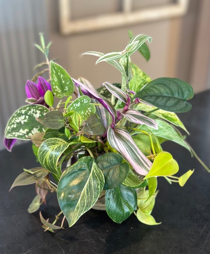 Cuttings Bouquet Designe's Choice