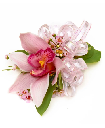 Cybidium Orchid Wrist Corsage $34.99 Also In white  in Saint Paul, MN | CENTURY FLORAL