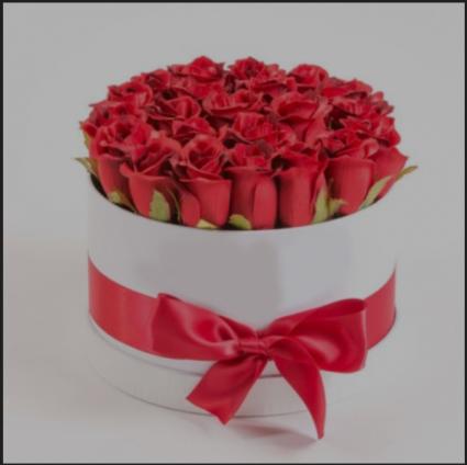 Cylinder Box of Roses 