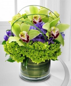 CYMBIDIUM DELIGHT Flower arrangement