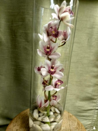 Cymbidium Orchids in Cylinder Vase